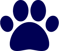 seguro de mascotas
