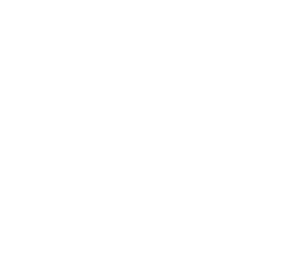 Seguro de vida logo