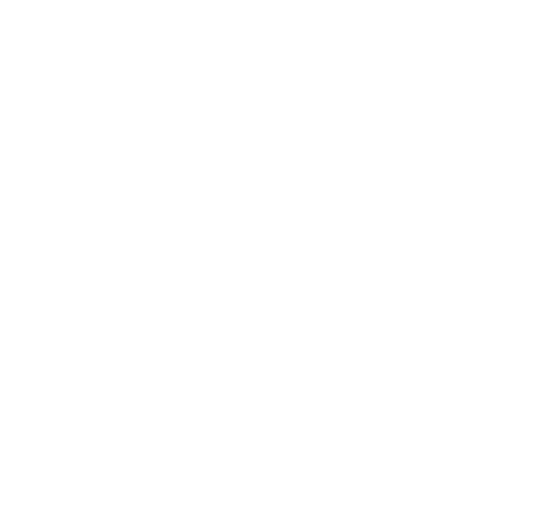 Seguros Intervenciones Logo